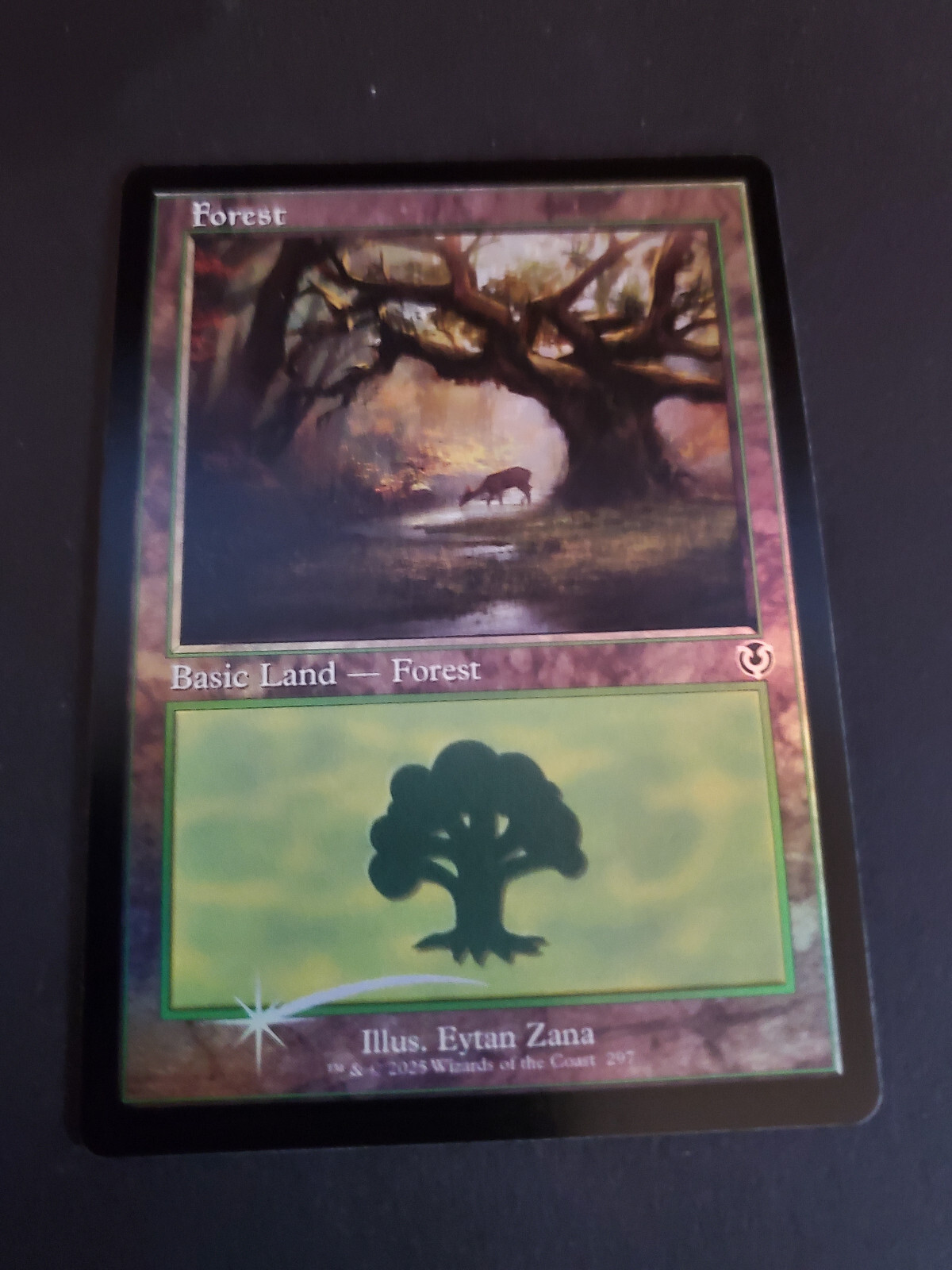 MTG 風景の変容 foil Foil】《風景の変容/Scapeshift》[M19] 緑R | 日本最大級 MTG