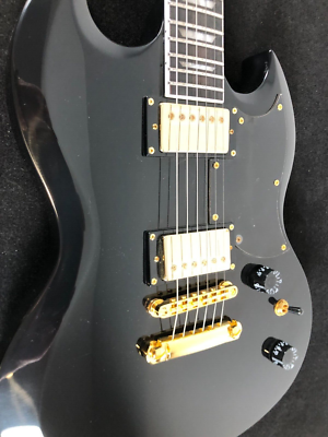 Harley Benton DC DLX Gotoh 2023 w Tesla PU s Stainless Steel