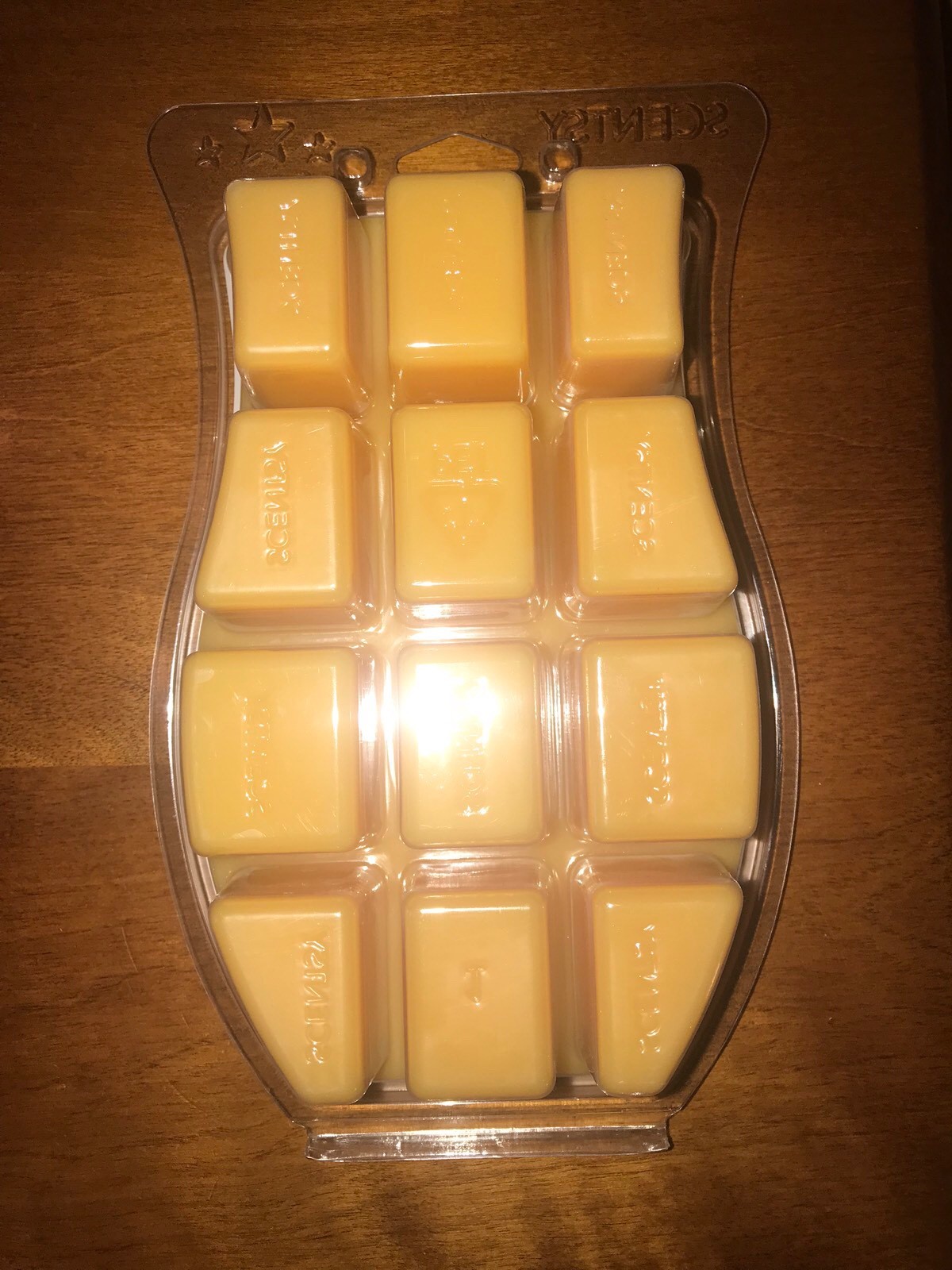 New Scentsy Bricks Retired & Hard to Find-Citrus Rosemary