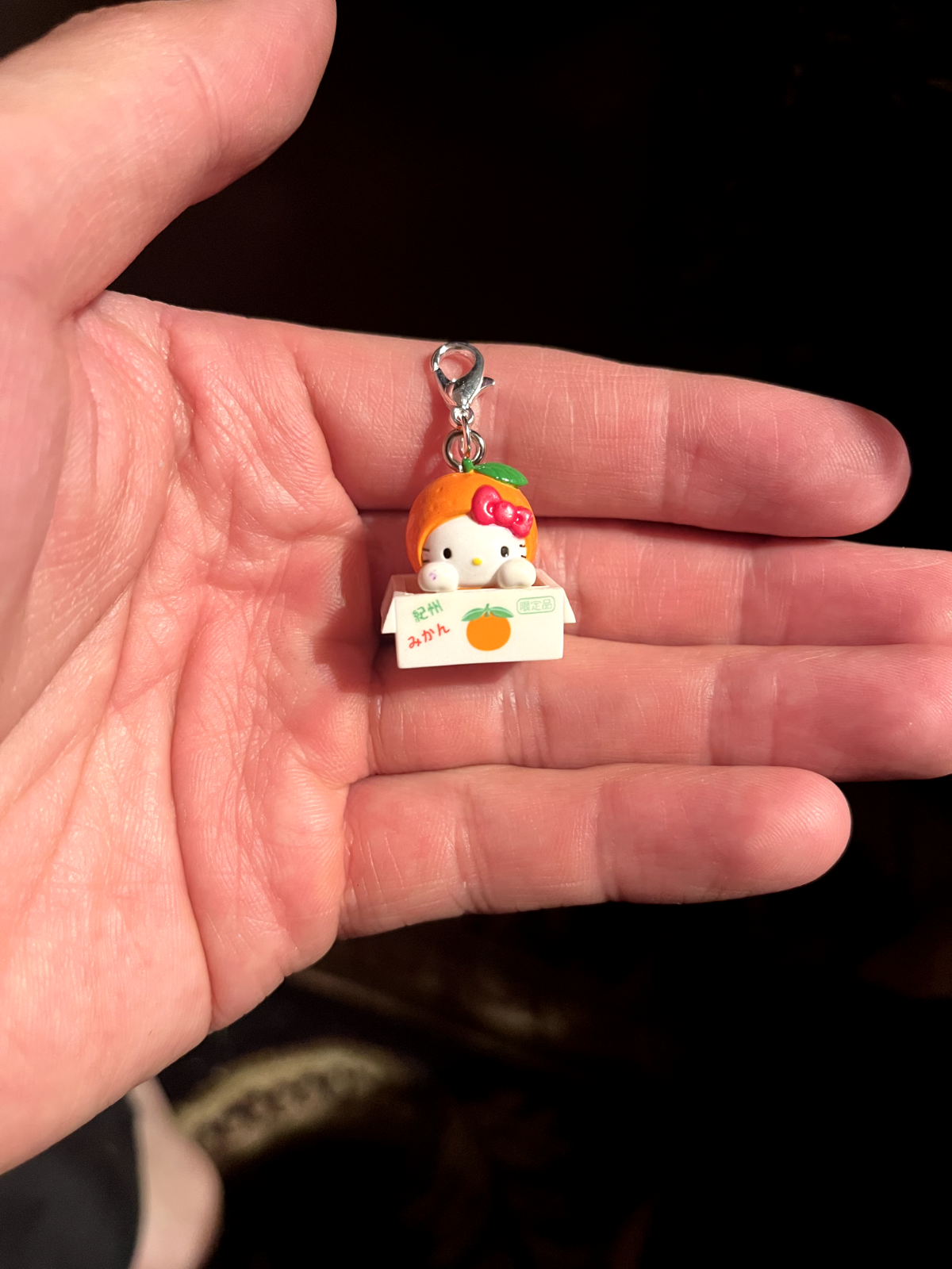 Sanrio Hello Kitty Kishu Mandarin Oranges Wakayama Gotochi Charm