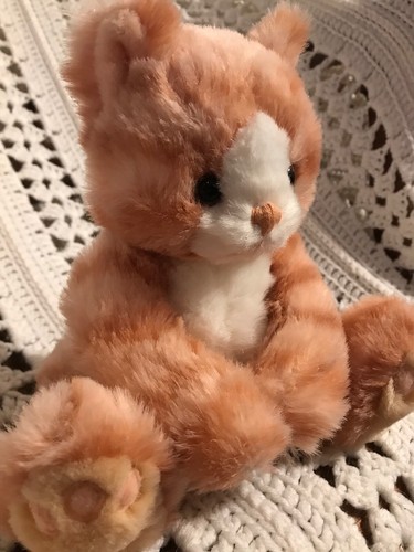 First Main KIT KAT Cat Orange Tabby Tiger Kitty Kitten 8