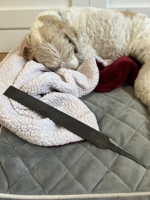 Foto dell'oggetto di un acquirente verificato