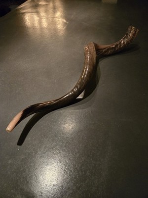 Fotos del artículo de un comprador verificado