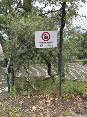 Foto dell'oggetto di un acquirente verificato