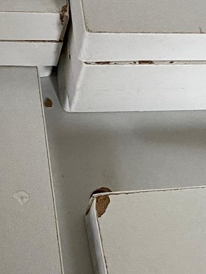 Artikelfoto(s) von einem verifizierten Käufer