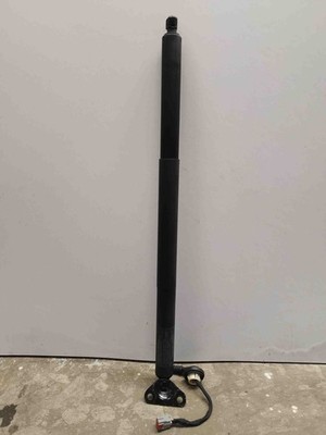 FORD USA EXPLORER Left Side Tailgate Gas Strut LB5BS402A55AD 2022 31659712