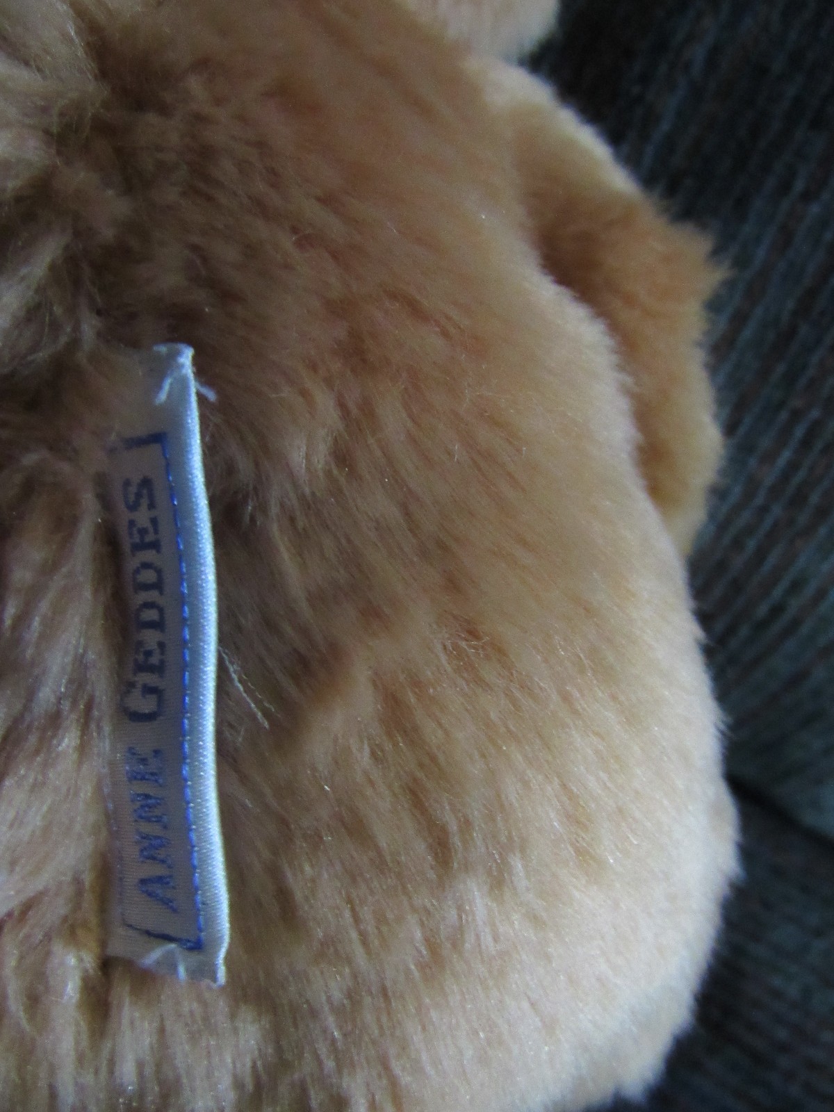 Anne Geddes Baby Bear 9