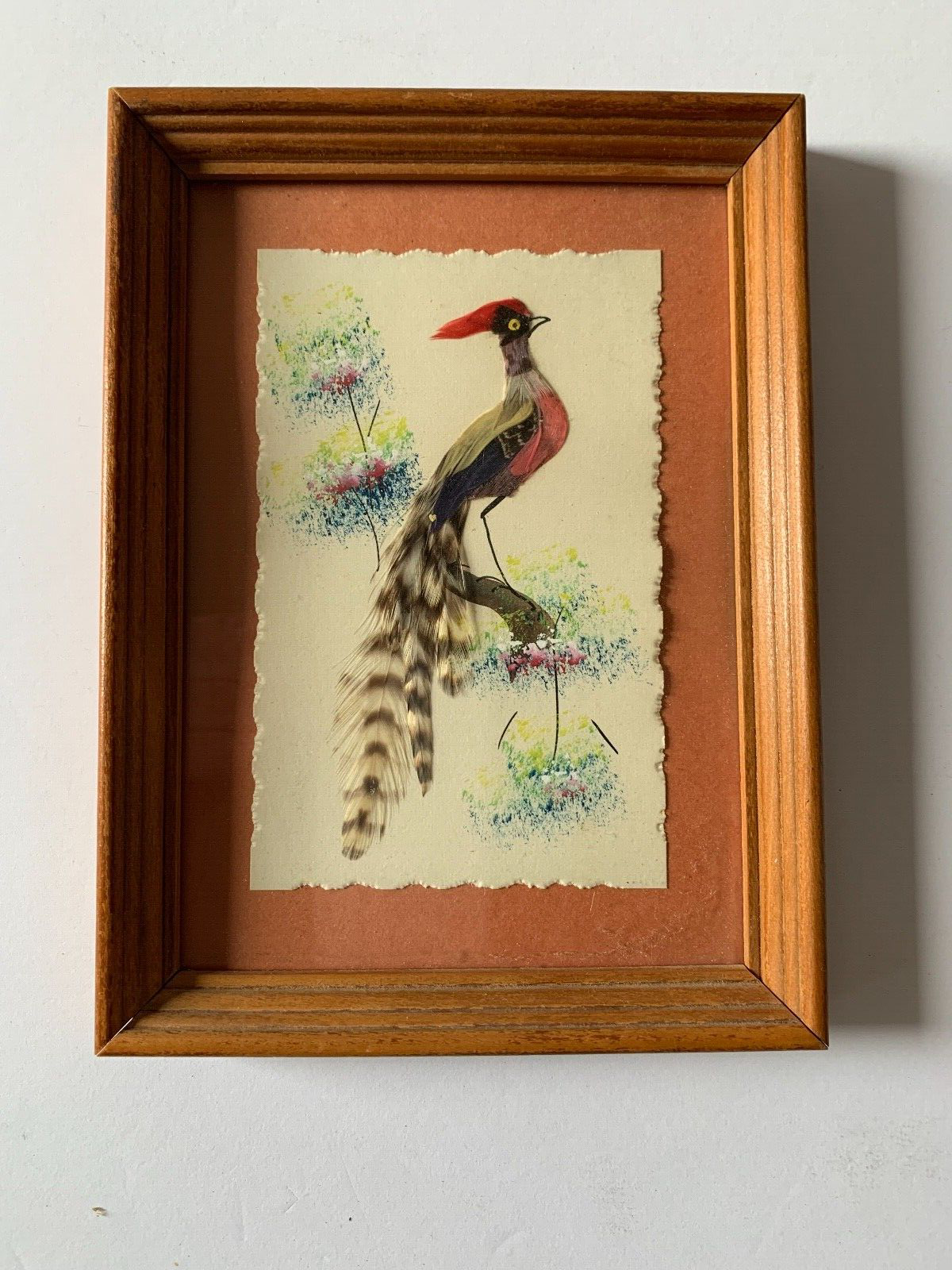 セール！ Feather and Brush：オーストラリア鳥類芸術300年 セール！ Feather and Brush：オーストラリア鳥類芸術300年