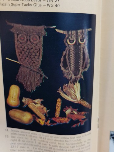 Wall Pot Hangers Jewelry Owl Mad about Macrame Hazel Pearson Handicrafts VTG 70s