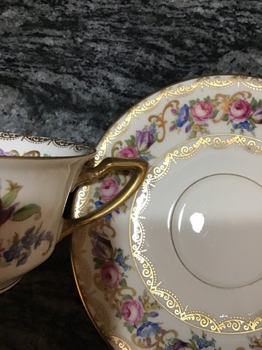 Rosenthal Continental VIENNA Cup & Saucer 5963312