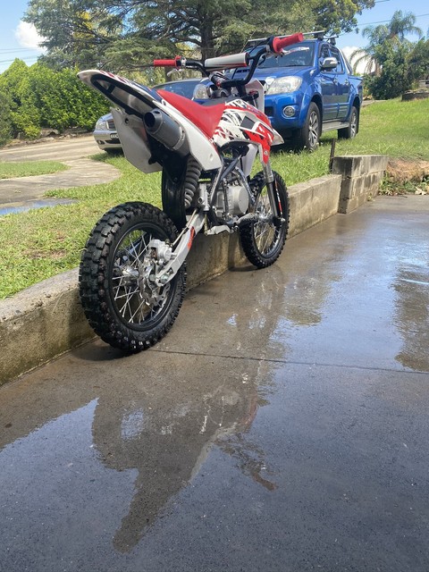 assassin 110cc pit bike