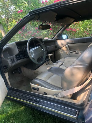image 2 of interior