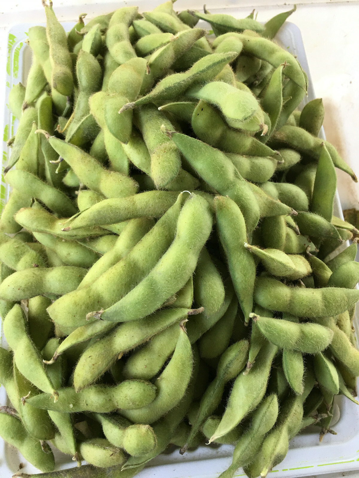 edamame...＊ Franklin Edamame Shelled 8oz - 8 OZ - kingsfoodmarkets