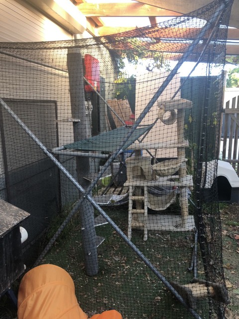 Cat enclosure with cat tower | Pet Products | Gumtree ...