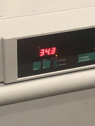 Fisher Scientific 637D IsoTemp 30°-75°C Industrial Lab Drying Incubator Oven