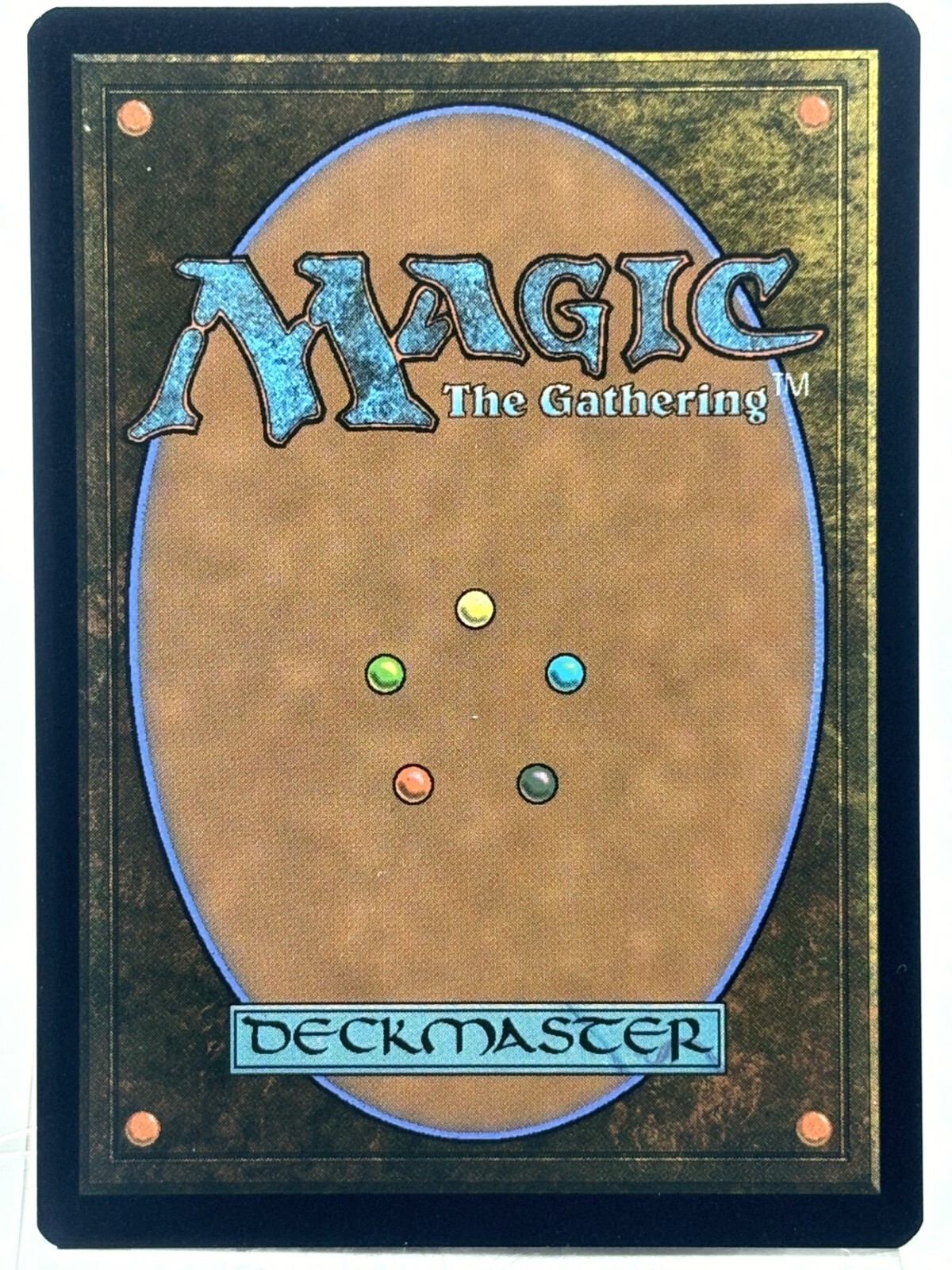 Dungeon Map NM* Adventure In Forgotten Realms 242/281 mtg -UnltdCards