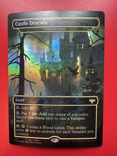 マジック：ザ・ギャザリング The Dracula Lands Foil Edition マジック：ザ・ギャザリング SECRET LAIR「The Dracula Land