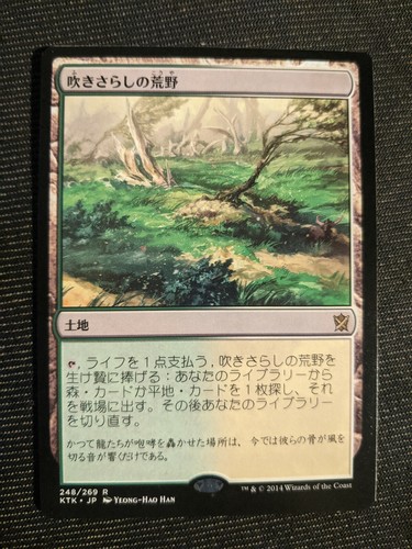 吹きさらしの荒野 ゼンディカーの夜明け 日本語Foil ドイツ語