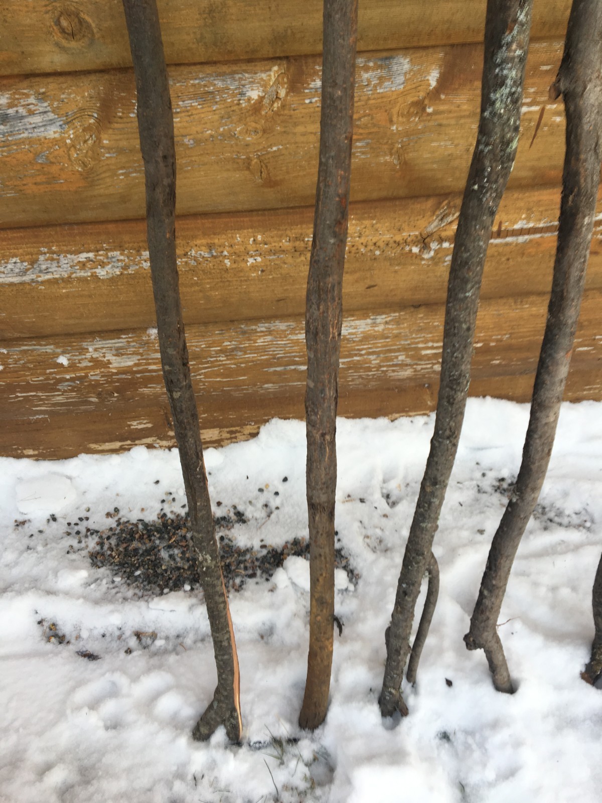 7 Original Diamond Willow walking sticks cane trekking unique 54