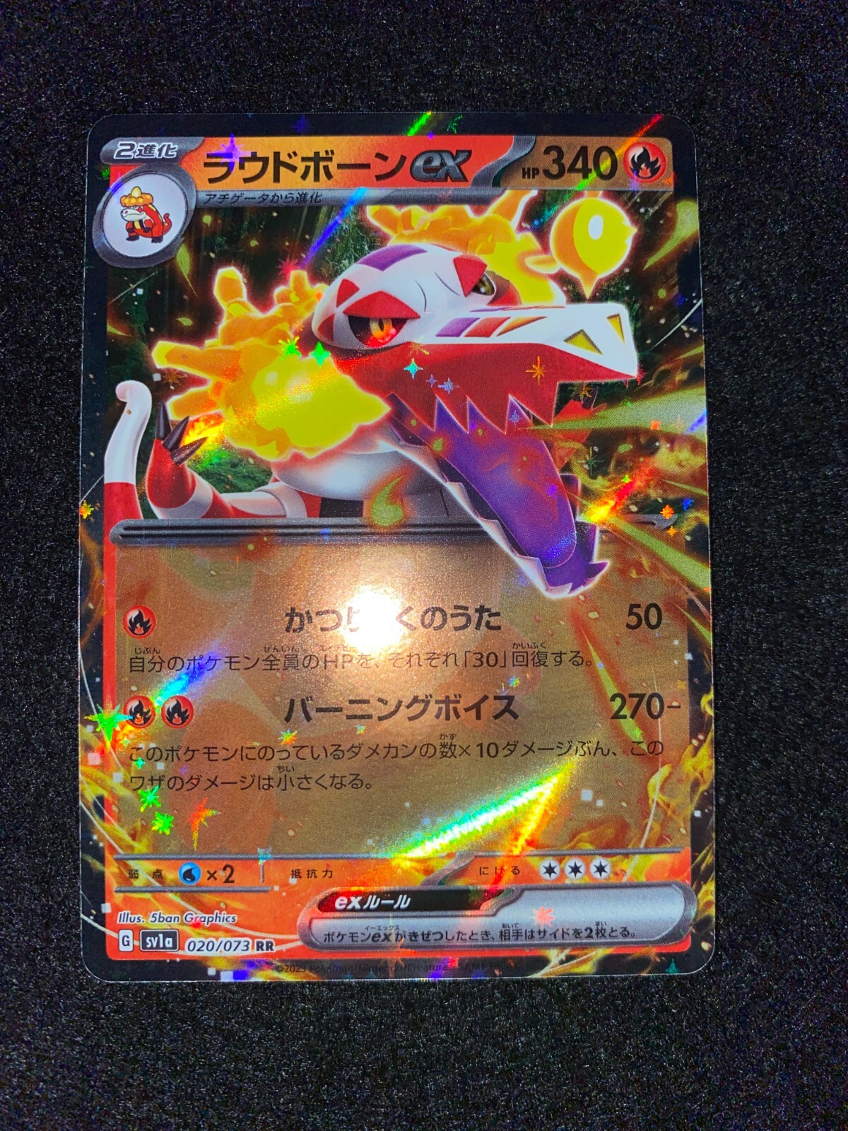 世界202枚 PSA10 ドククラゲ tentacruel カードe 20 世界202枚 PSA10