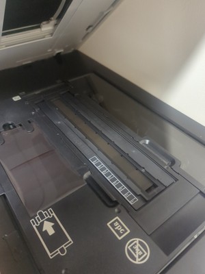 Fotos del artículo de un comprador verificado