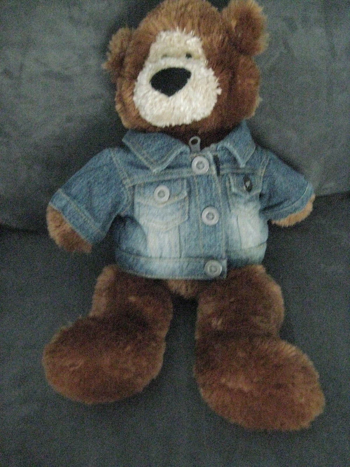 GUND EVERYWHERE BEAR # 15382 SO SOFT WITH JACKET | eBay