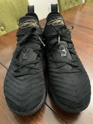 lebron xvi im king
