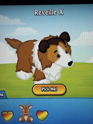 Objectfoto('s) van geverifieerde koper