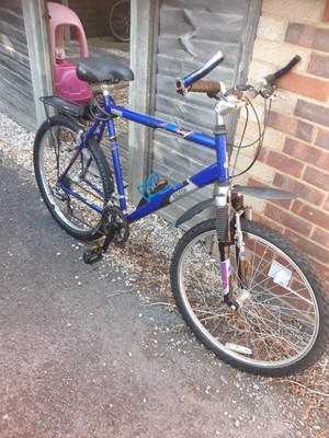 Men's used raleigh bike