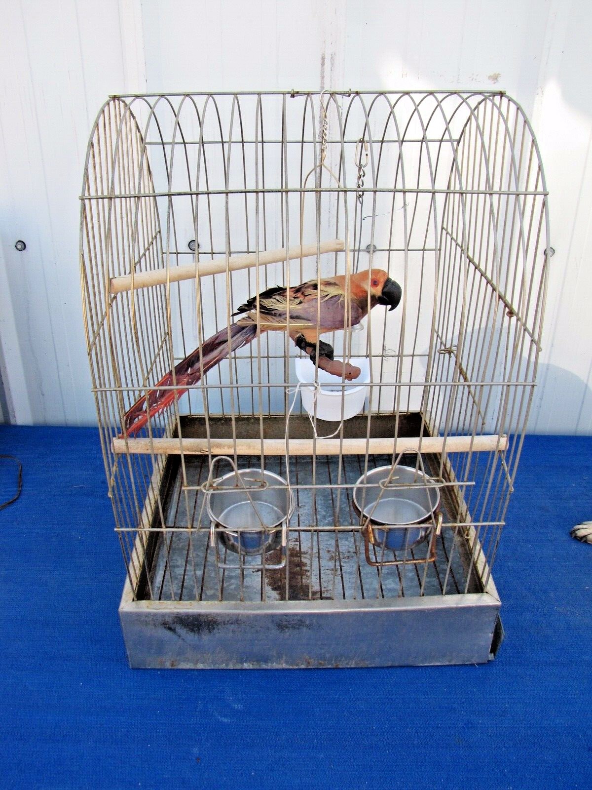 Vintage Metal Bird Cage Square Dome Top 17