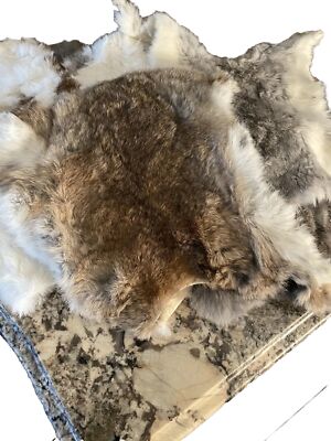 5  Pelts  Craft Grade Earth Tone Rabbit Pelts for Décor & Crafts  1st quality