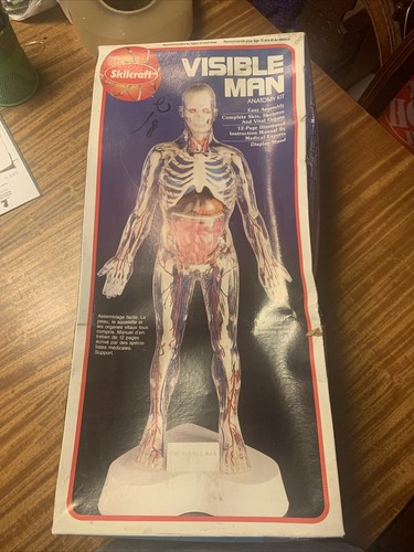 Skilcraft VISIBLE MAN ビジブルマン 人体模型 プラモデル