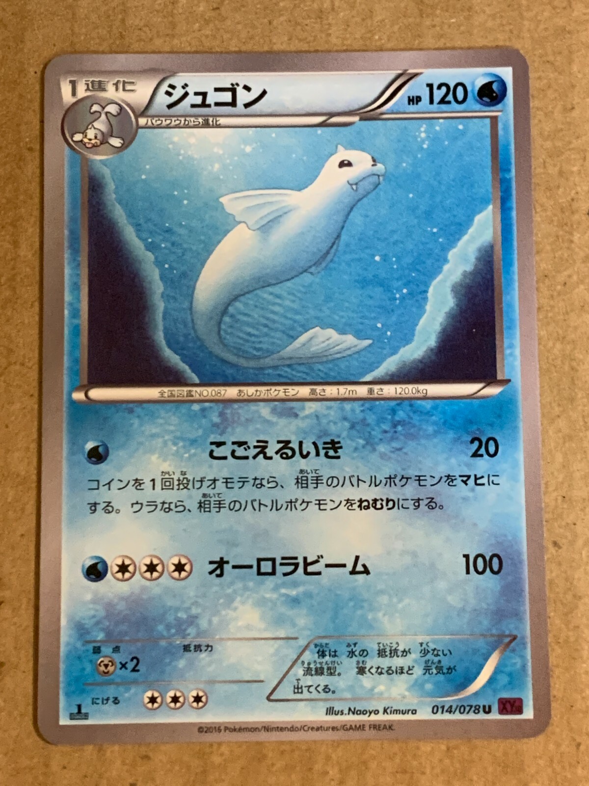 Pokemon Card Japanese 1st Edition XY10 Dewgong 014/078. | eBay