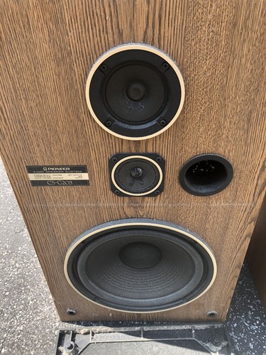 pioneer csg203