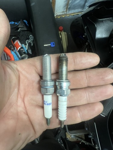Fotos del artículo de un comprador verificado