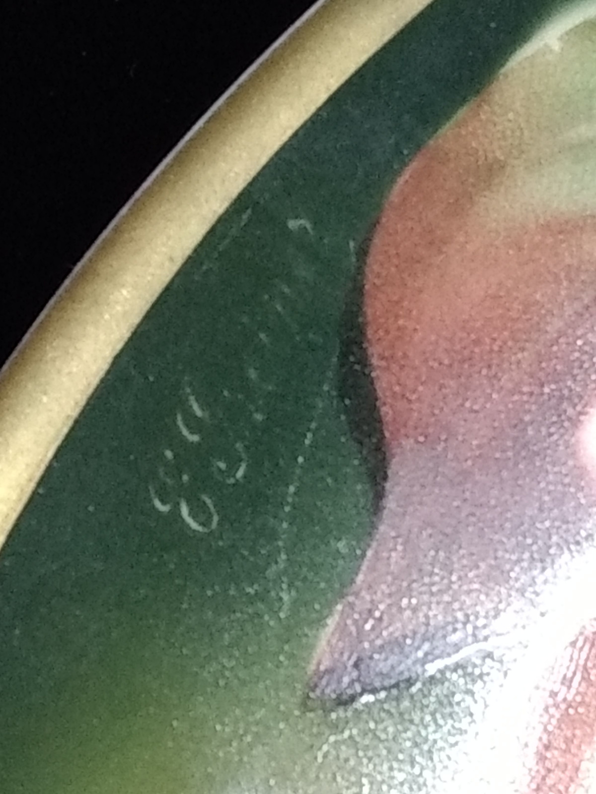 Antique THOMAS Sevres Bavaria Plate Hand Painted 