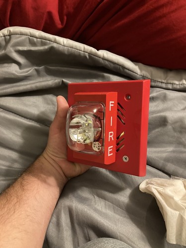 Artikelfoto(s) von einem verifizierten Käufer