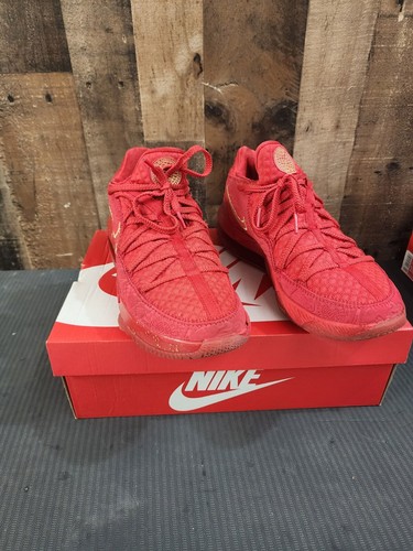 NIKE LEBRON XVII レブロン17 インフラレッド $_12.JPG?set_id=880000500F