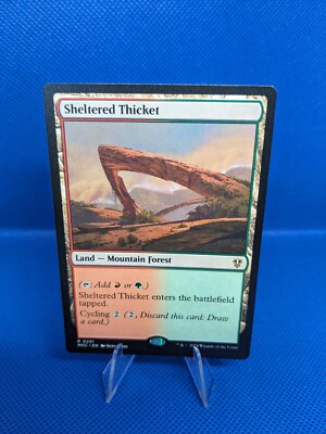 x4 MTG Sheltered Thicket Playset Commander 291 Murders At Karlov Manor Magic 4x