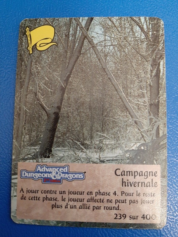 Spellfire - Campagne Hivernale (239/1st Edition) French Edition