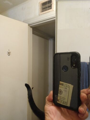 Artikelfoto(s) von einem verifizierten Käufer