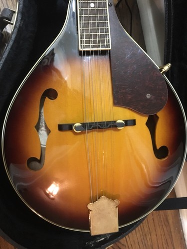 Fender FM-53S  Mandolin