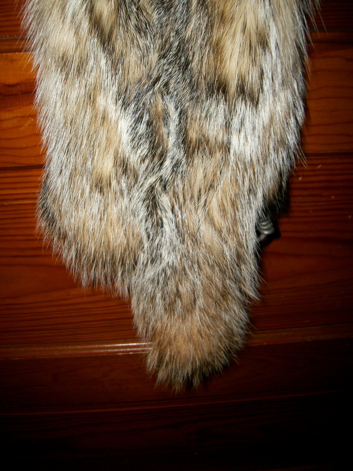 BEAUTIFUL tanned BADGER HEAVY fur pelt skin taxidermy B3  LOG CABIN COLLARS TRIM