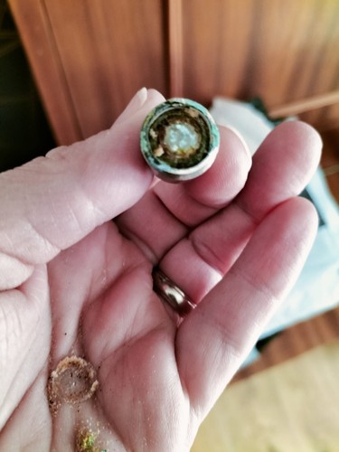 Artikelfoto(s) von einem verifizierten Käufer