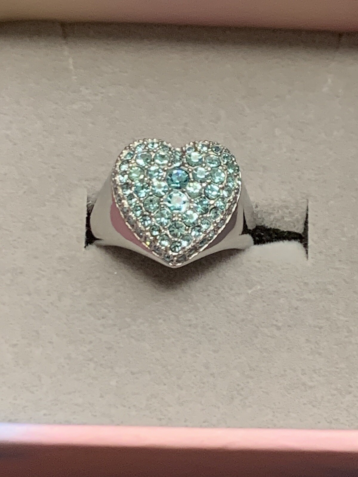 Taylor Swift TTPD Ring US size9 指輪 The Tortured Poets Department Ring – Taylor Swift Official Store