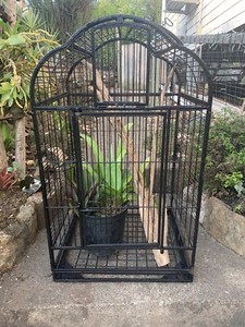 Lrg Decorative Bird Cage Plants Driftwood Other Garden