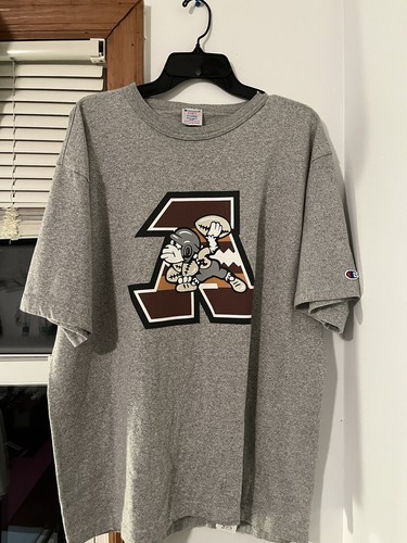 Vintage Bape 1990s-2000s Bathing Ape T Shirt Champion Blank Very Rare  Football