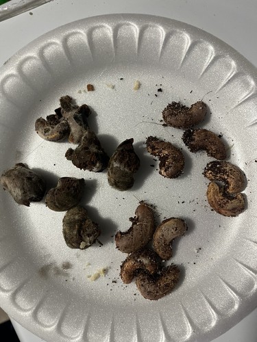 经认证买家提供的物品图片
