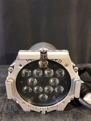 Coemar Pinlite LED White LED 12 Degree Optic