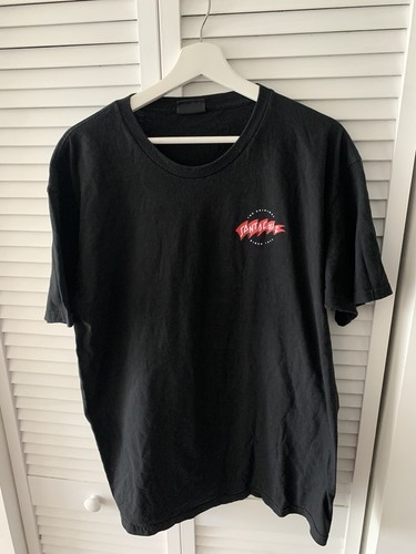 SANTA CRUZ Tシャツ NHS ヴィンテージ　フェード　ブラウン　XL SANTA CRUZ Tシャツ NHS ヴィンテージ フェード ブラウン XL
